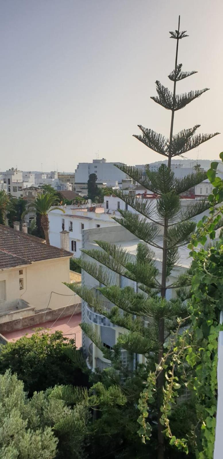 Guesthouse Kasbah Old Medina Tanger 外观 照片